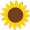 ひまわりアイコン